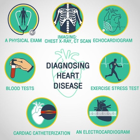 Infographic titled Diagnosing Heart Disease showing icons for physical exam, imaging (chest X-ray, CT scan, echocardiogram), blood tests, exercise stress test, cardiac catheterization, and electrocardiogram.