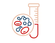 Illustration of a petri dish with blue cells and red blood cells next to a pink test tube in a laboratory setting.