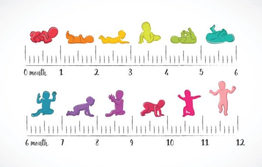 What Are Milestones in Child Development - Sparsh Hospital - Sparsh Hospital Colorful baby silhouettes illustrating typical development milestones from 0 to 12 months along a month ruler.
