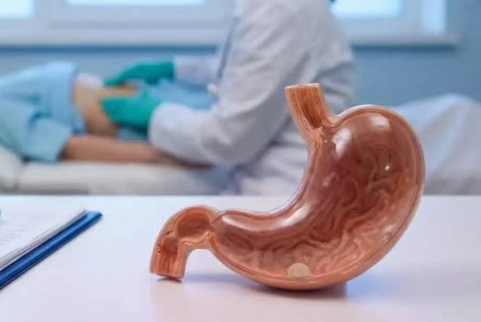 Which Conditions Can Pediatric Gastro in Parel Help Manage - Sparsh Hospital - Sparsh Hospital A realistic plastic model of a human stomach on a clinic table, with medical staff attending a patient in the background