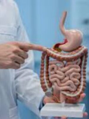 Medical professional in a lab coat pointing at a model of the human digestive system (stomach and intestines) on a stand.